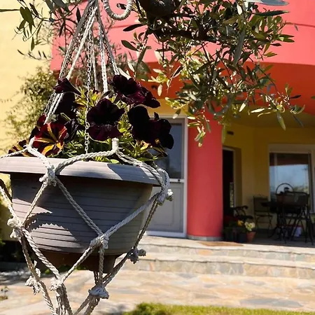 In * Agiakampos (Volos)